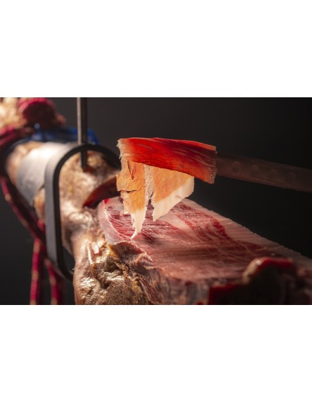 Jamón origen y tradición.